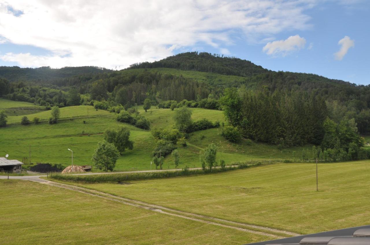 Mostheuriger Steyrdurchbruchalm Leonstein Exterior foto